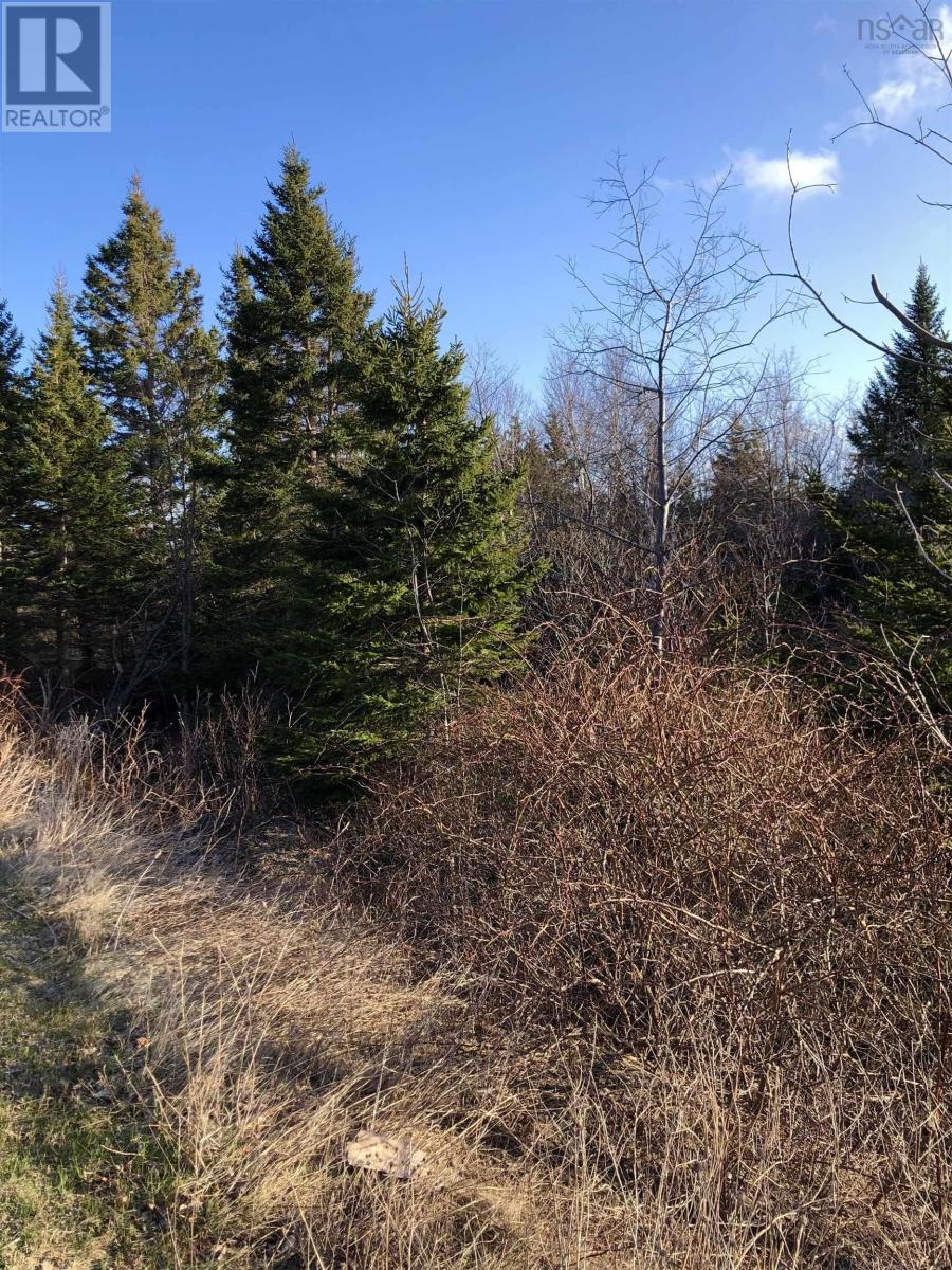 Lots 14 & 15 Highview & Clough Ave, port hastings, Nova Scotia