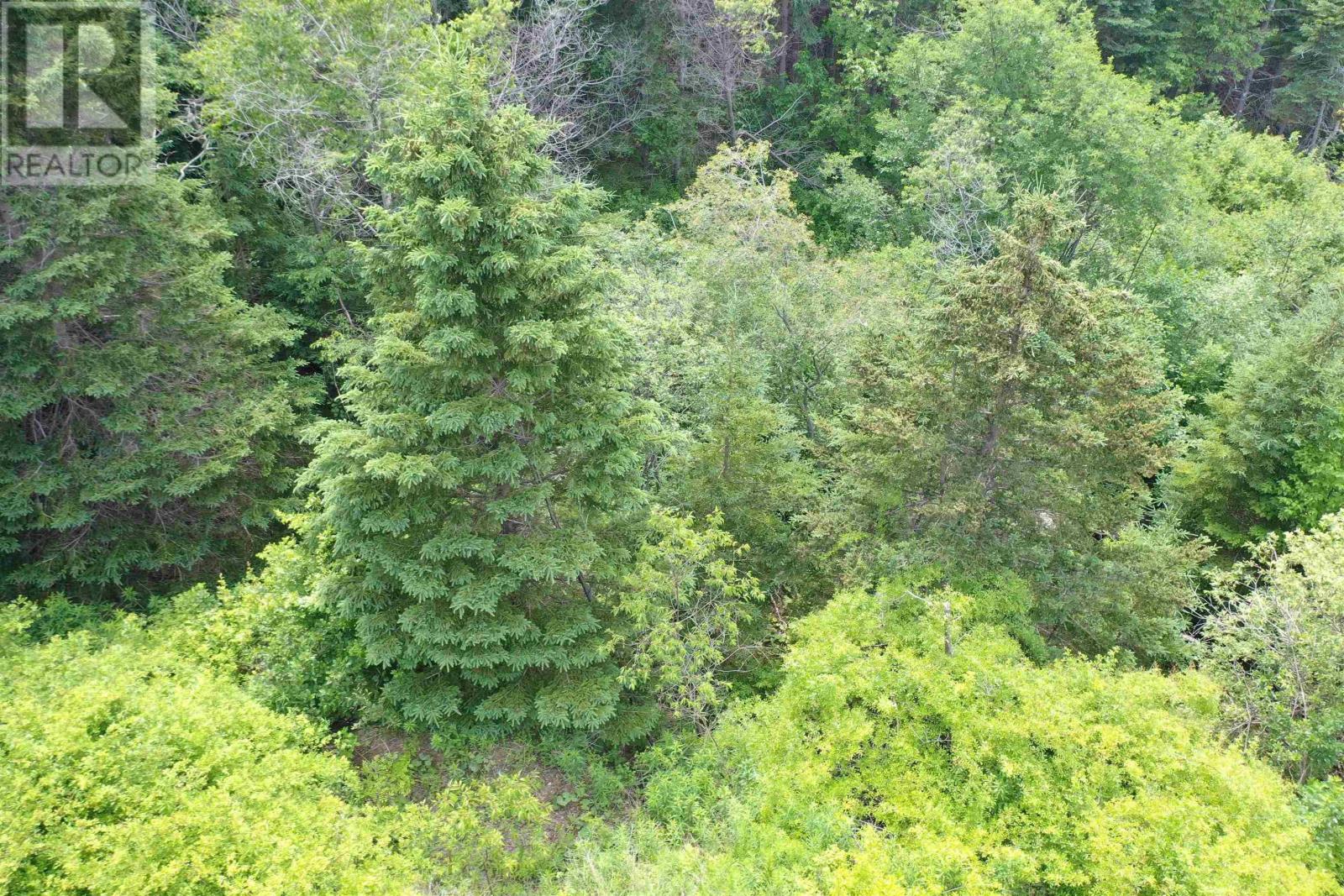 Lots 14 & 15 Highview & Clough Ave, Port Hastings, Nova Scotia  B9A 1K8 - Photo 11 - 202510076