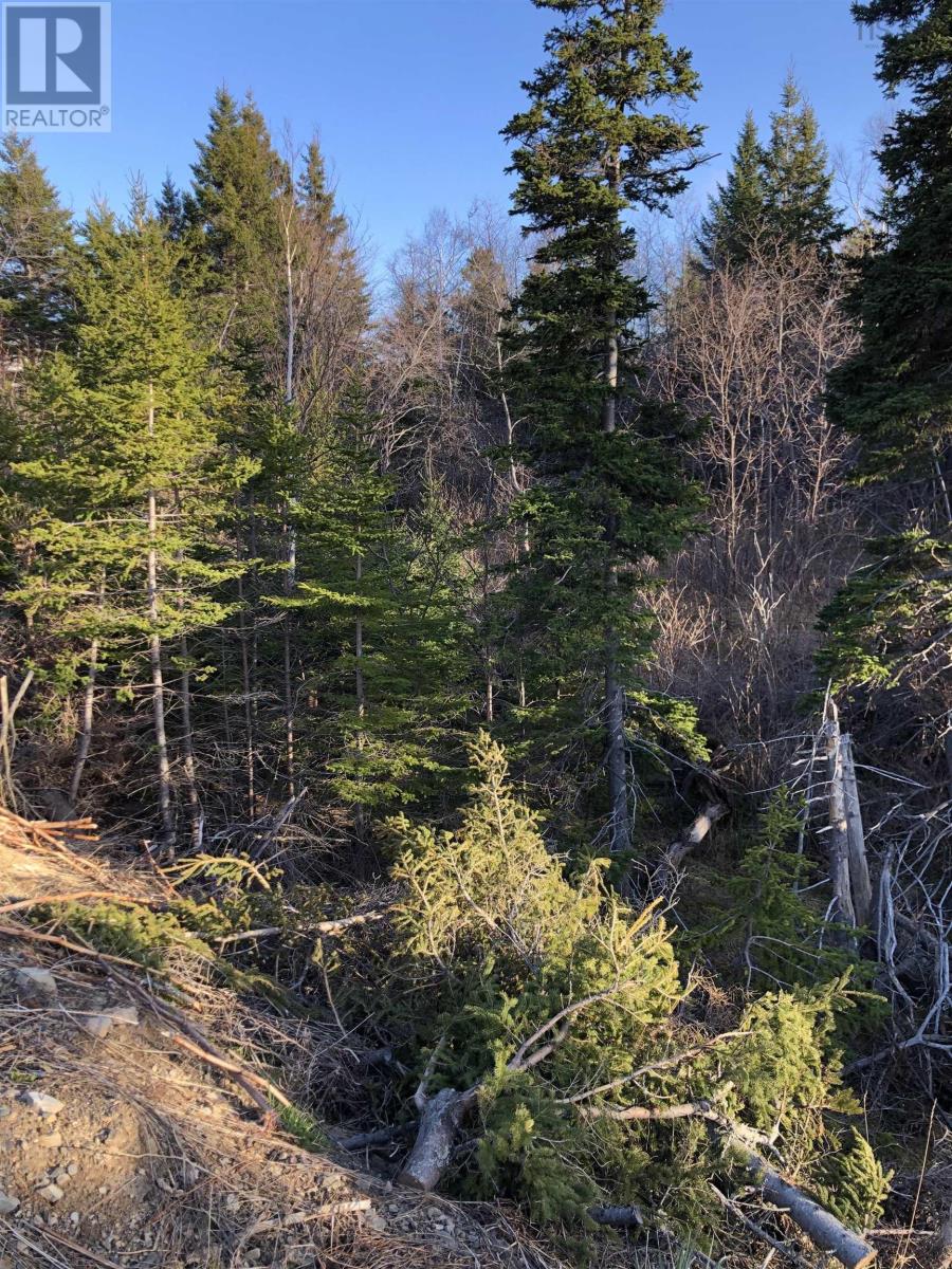 Lots 14 & 15 Highview & Clough Ave, Port Hastings, Nova Scotia  B9A 1K8 - Photo 2 - 202510076