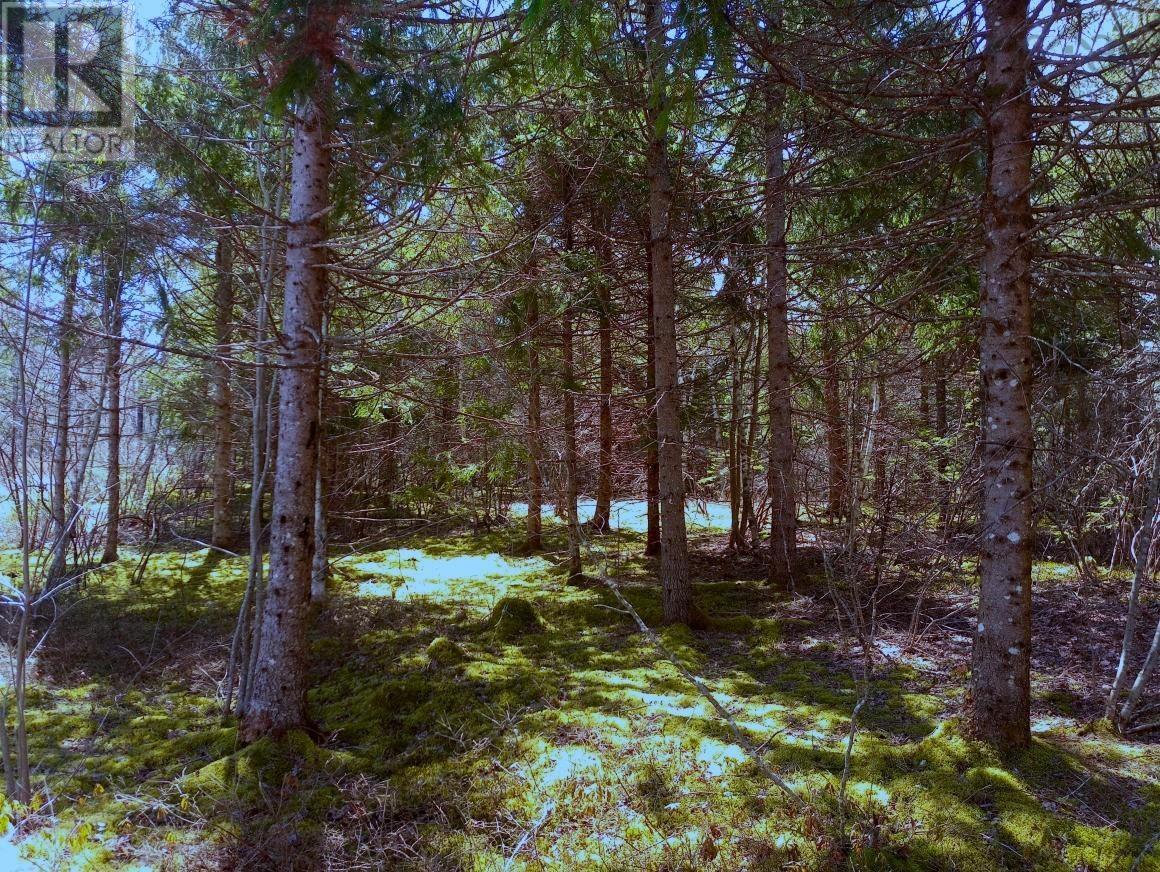 12 Johnny Cash Lane, juniper mountain, Nova Scotia