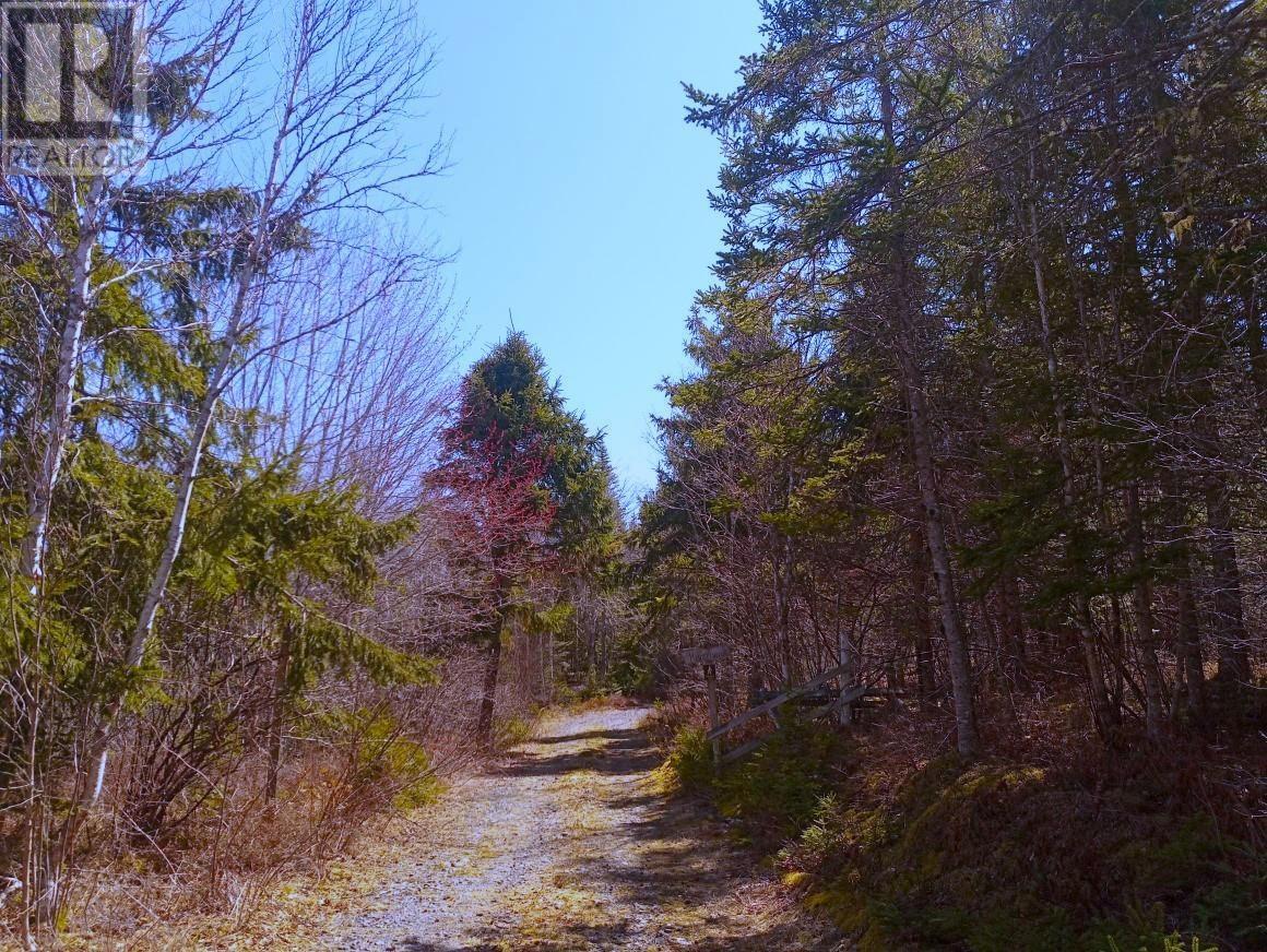 13 Johnny Cash Lane, Juniper Mountain, Nova Scotia  B1K 0C2 - Photo 20 - 202510142