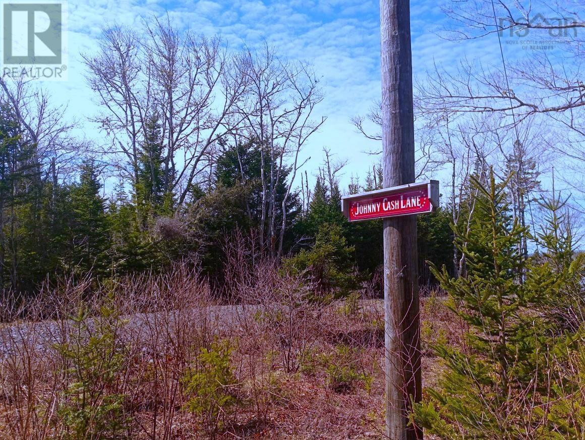 14 Johnny Cash Lane, Juniper Mountain, Nova Scotia  B1K 0C2 - Photo 13 - 202510145