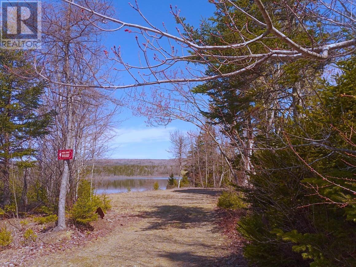 14 Johnny Cash Lane, Juniper Mountain, Nova Scotia  B1K 0C2 - Photo 15 - 202510145