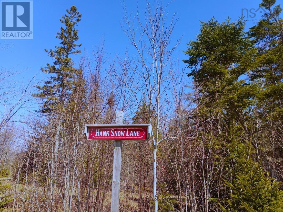 14 Johnny Cash Lane, Juniper Mountain, Nova Scotia  B1K 0C2 - Photo 16 - 202510145