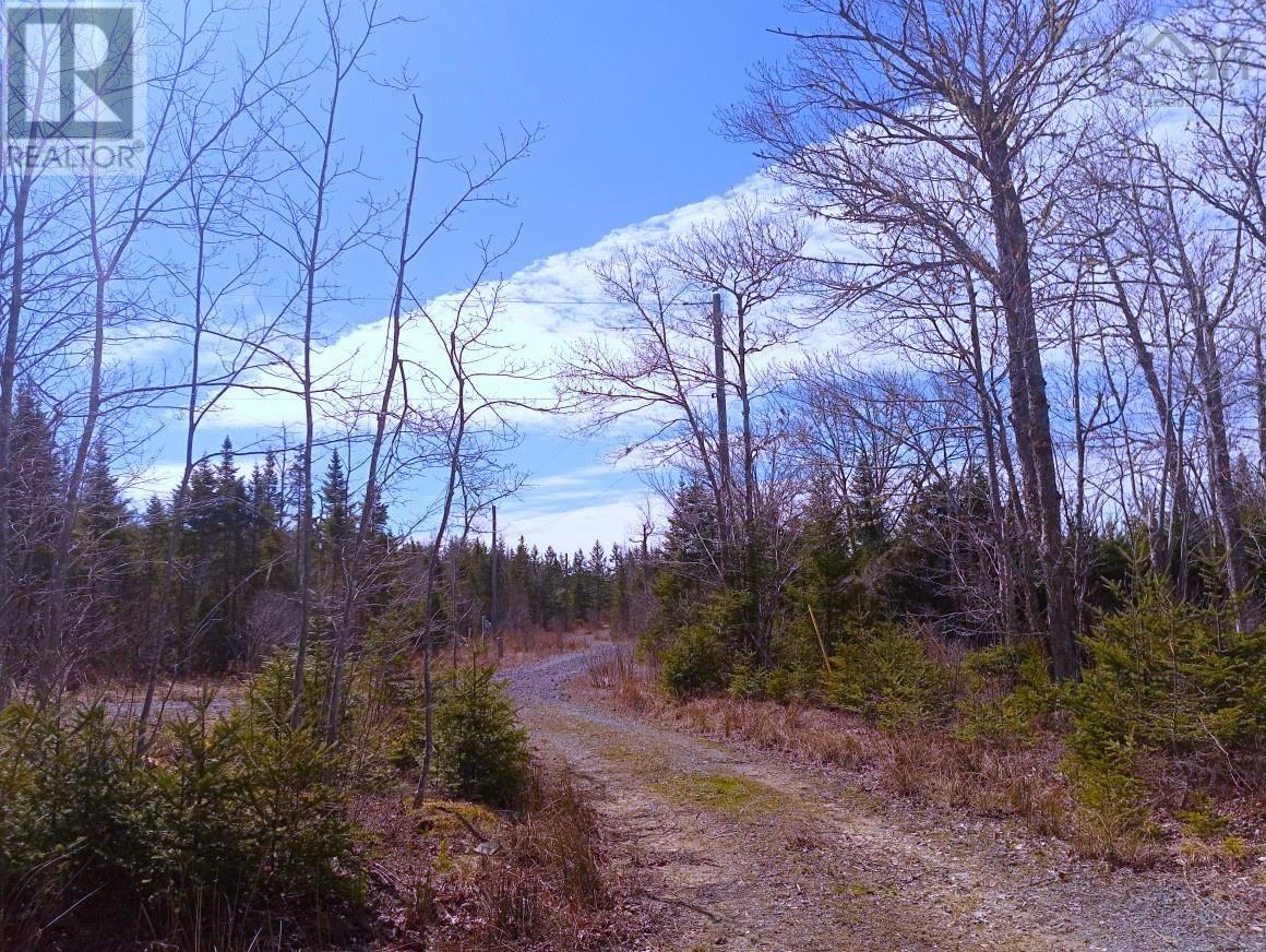 14 Johnny Cash Lane, Juniper Mountain, Nova Scotia  B1K 0C2 - Photo 18 - 202510145
