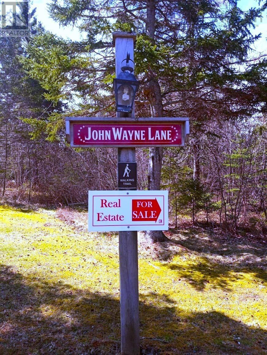 14 Johnny Cash Lane, Juniper Mountain, Nova Scotia  B1K 0C2 - Photo 21 - 202510145