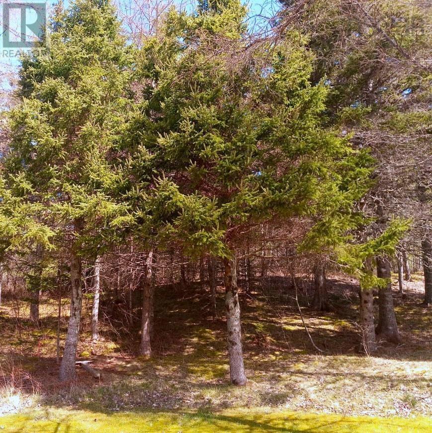 14 Johnny Cash Lane, Juniper Mountain, Nova Scotia  B1K 0C2 - Photo 22 - 202510145