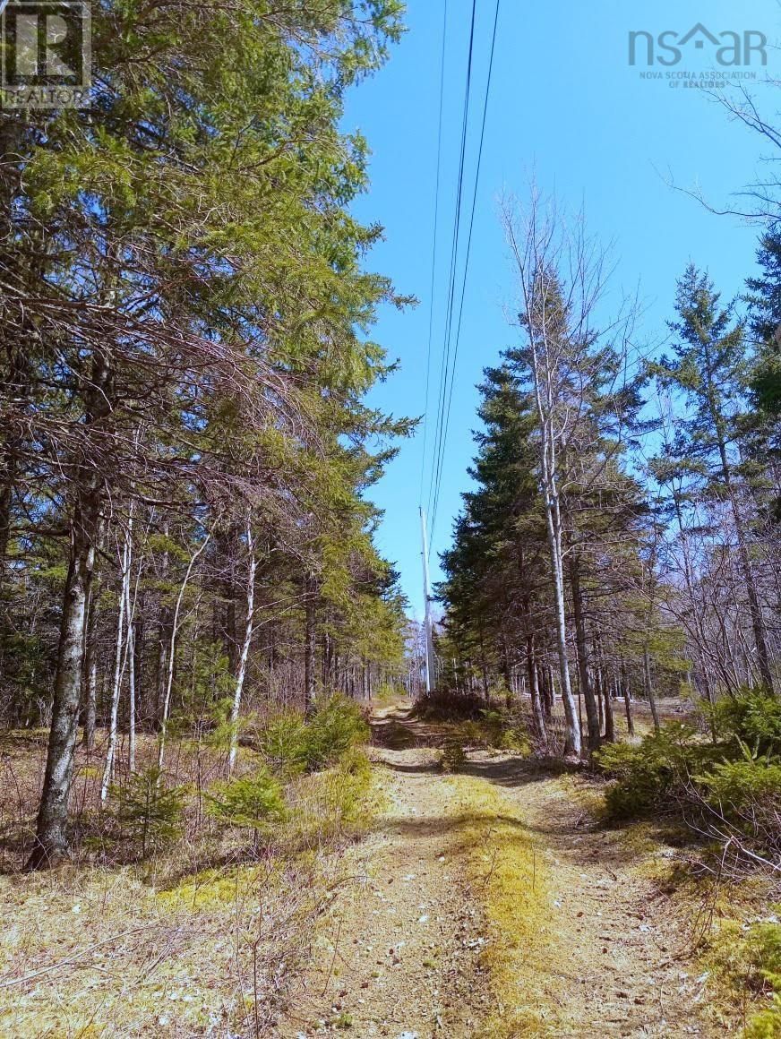 14 Johnny Cash Lane, Juniper Mountain, Nova Scotia  B1K 0C2 - Photo 23 - 202510145