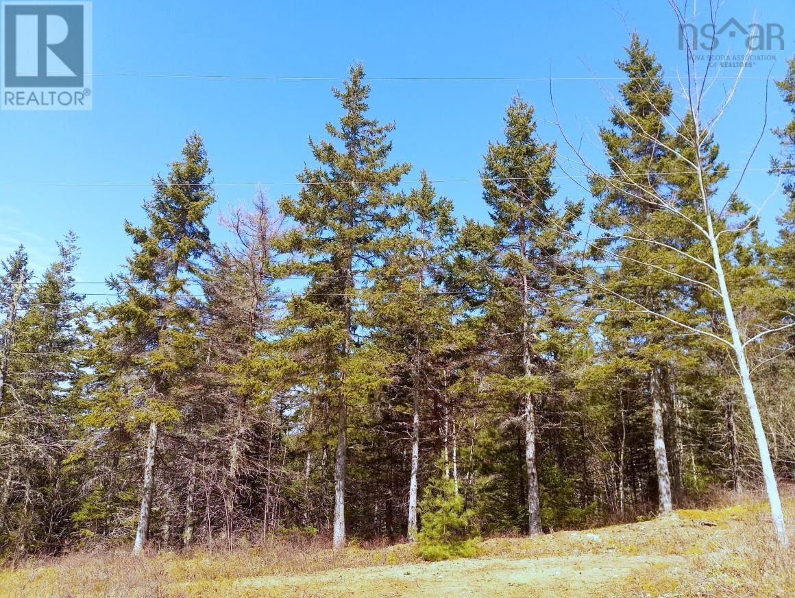 14 Johnny Cash Lane, Juniper Mountain, Nova Scotia  B1K 0C2 - Photo 24 - 202510145