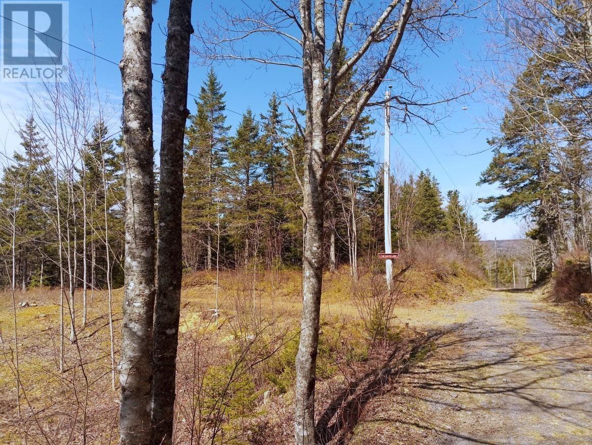 14 Johnny Cash Lane, Juniper Mountain, Nova Scotia  B1K 0C2 - Photo 25 - 202510145