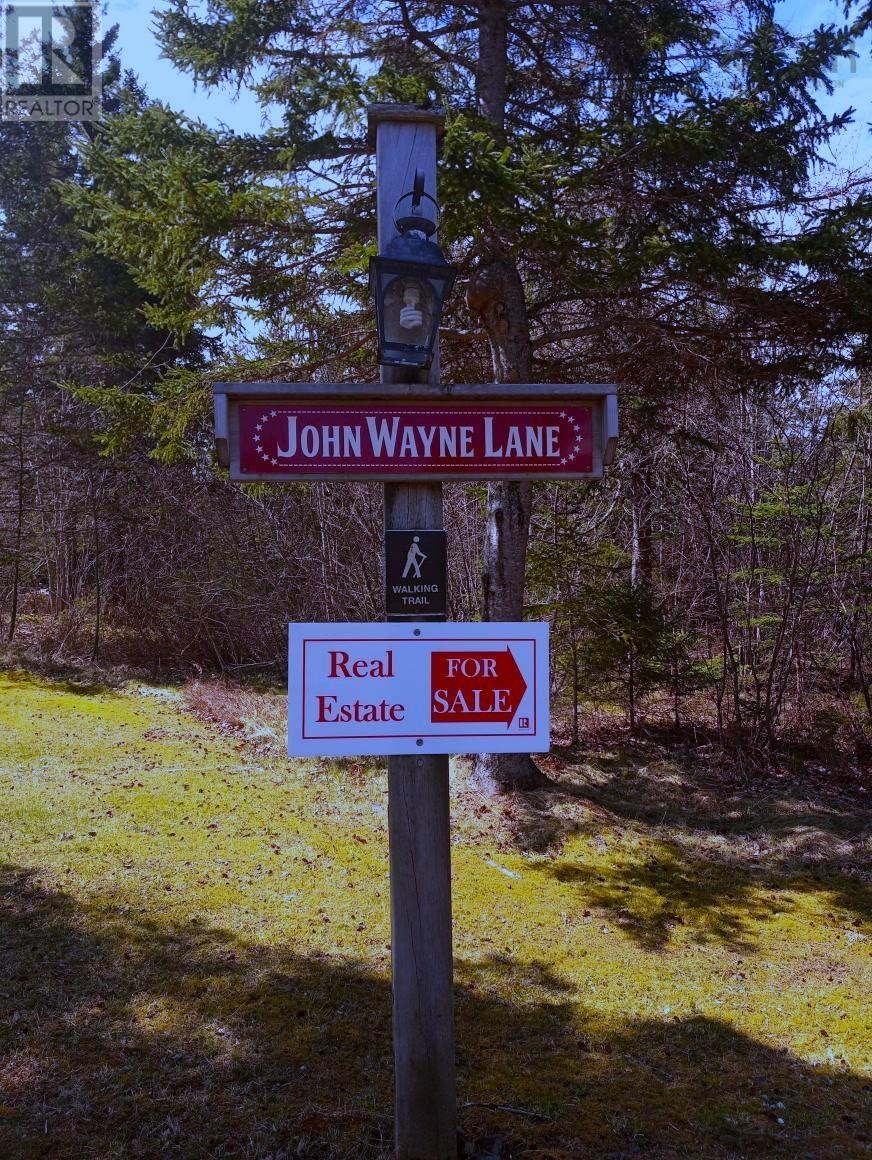 14 Johnny Cash Lane, Juniper Mountain, Nova Scotia  B1K 0C2 - Photo 28 - 202510145