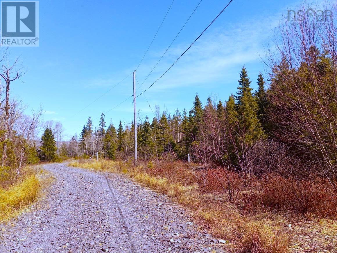 14 Johnny Cash Lane, Juniper Mountain, Nova Scotia  B1K 0C2 - Photo 30 - 202510145