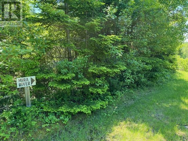 14 Johnny Cash Lane, Juniper Mountain, Nova Scotia  B1K 0C2 - Photo 5 - 202510145
