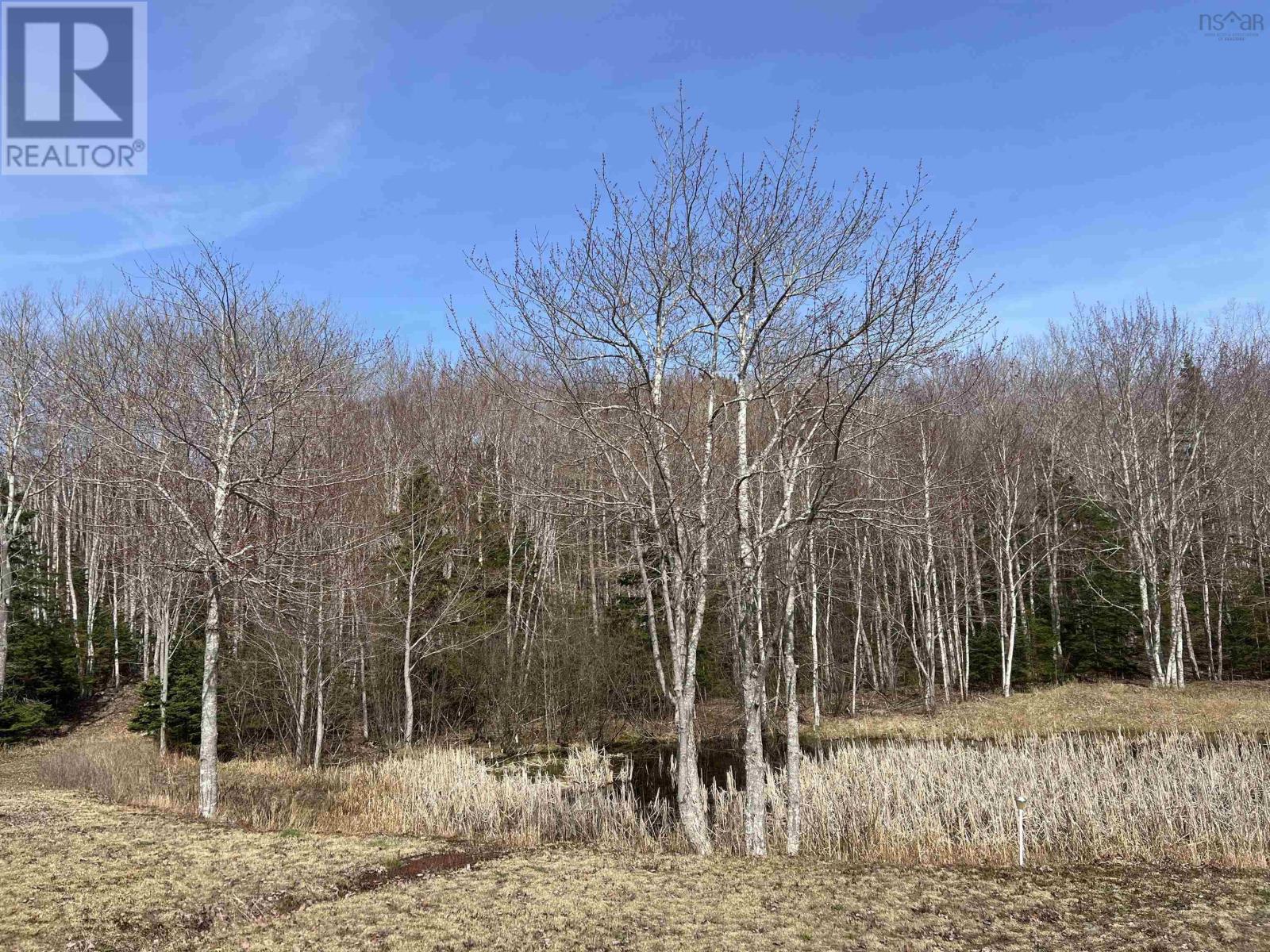 Old Mulgrave Road, Monastery, Nova Scotia  B0H 1W0 - Photo 31 - 202510167