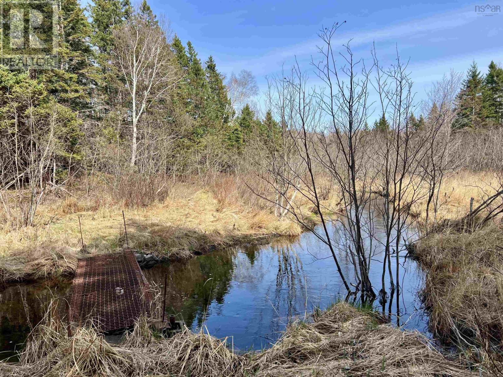 Old Mulgrave Road, Monastery, Nova Scotia  B0H 1W0 - Photo 36 - 202510167