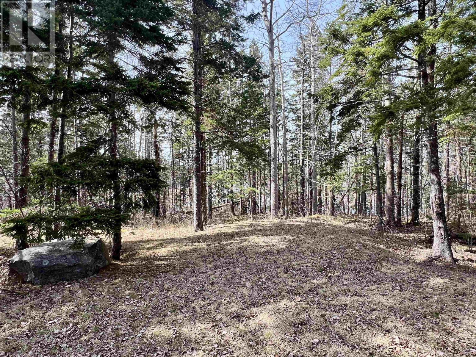 Old Mulgrave Road, Monastery, Nova Scotia  B0H 1W0 - Photo 4 - 202510167