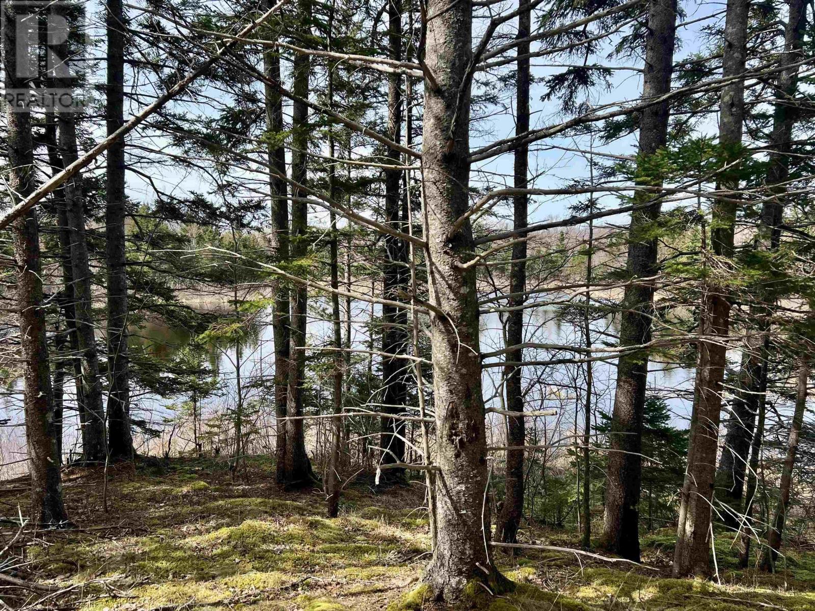Old Mulgrave Road, Monastery, Nova Scotia  B0H 1W0 - Photo 41 - 202510167