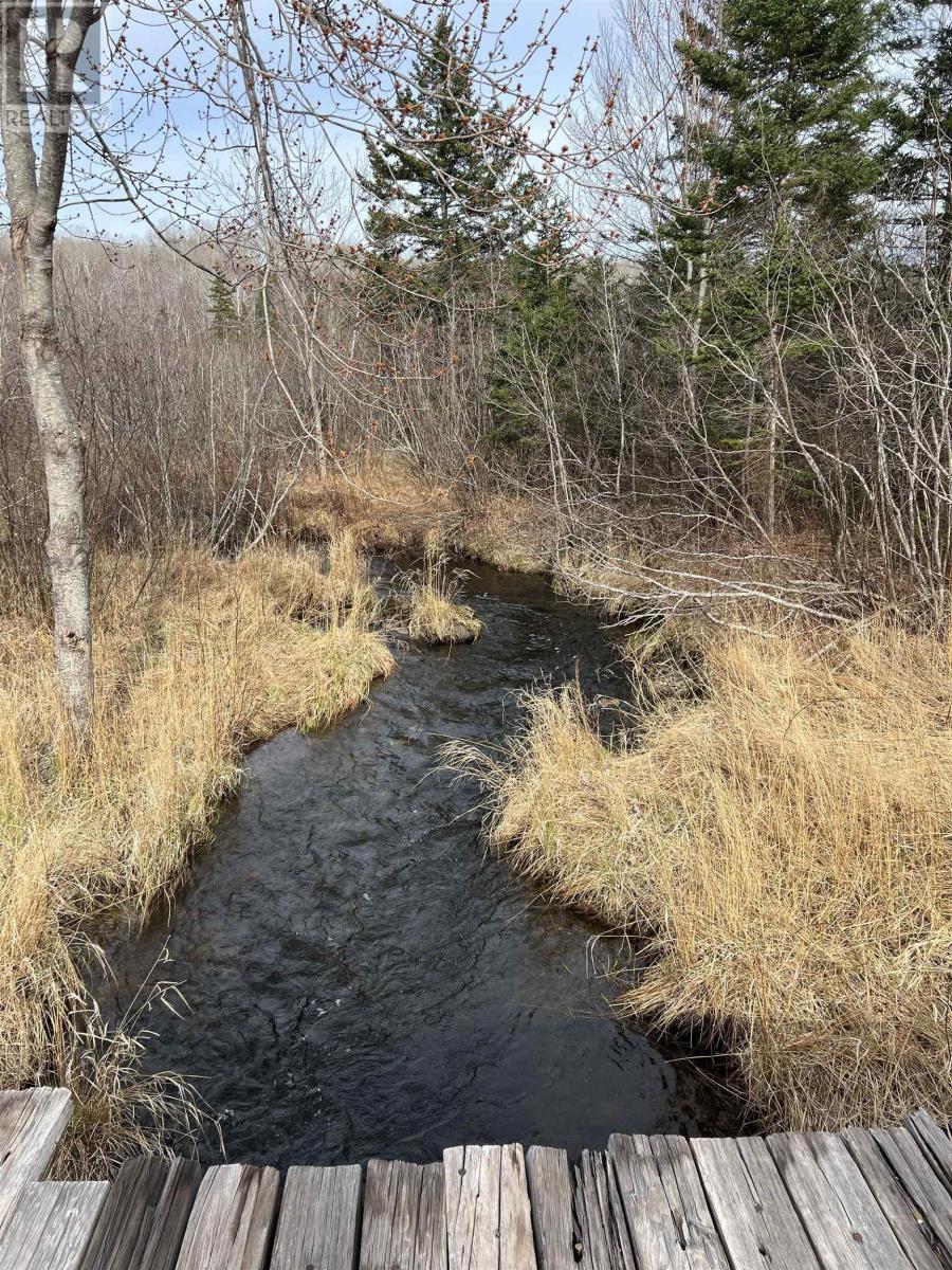 Old Mulgrave Road, Monastery, Nova Scotia  B0H 1W0 - Photo 45 - 202510167