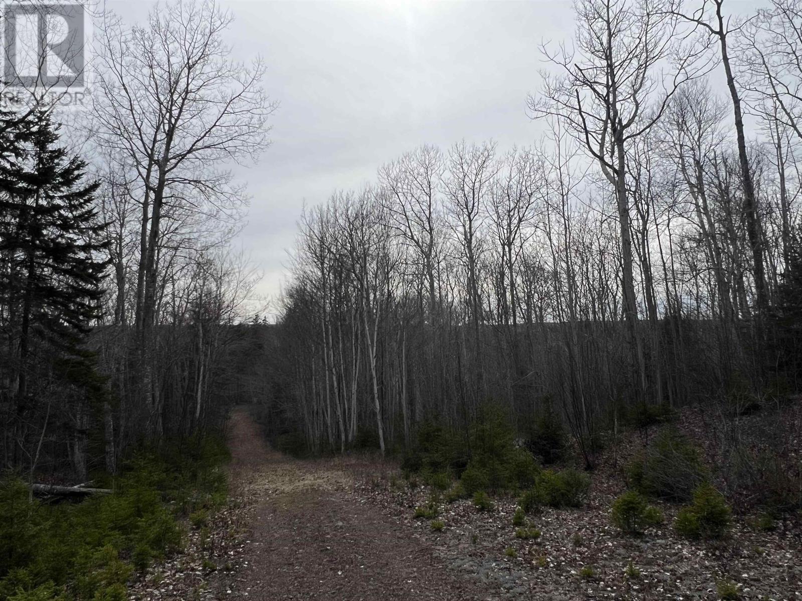 Old Mulgrave Road, Monastery, Nova Scotia  B0H 1W0 - Photo 46 - 202510167