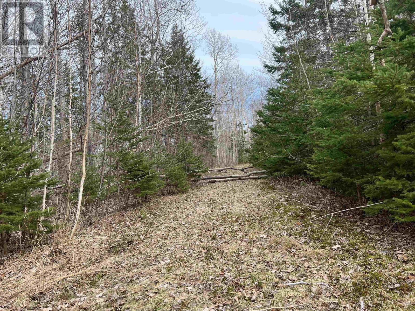 Old Mulgrave Road, Monastery, Nova Scotia  B0H 1W0 - Photo 48 - 202510167