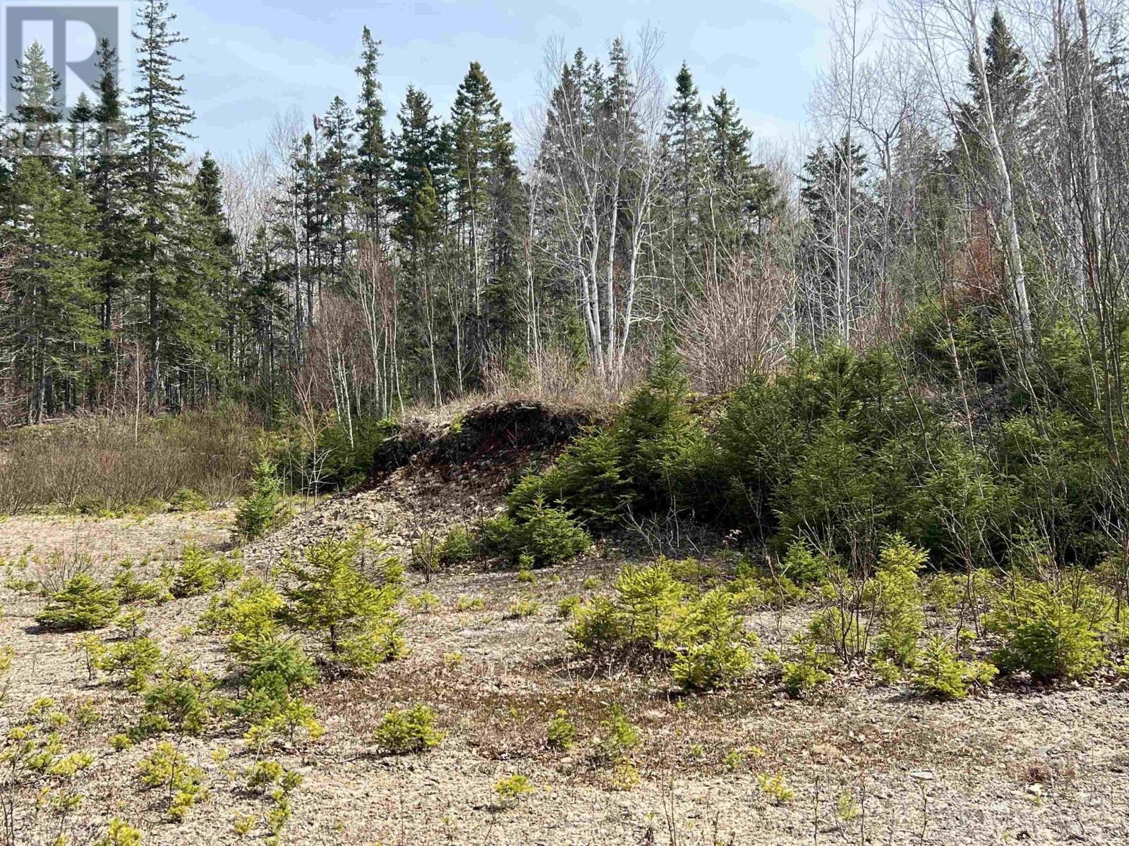 Old Mulgrave Road, Monastery, Nova Scotia  B0H 1W0 - Photo 49 - 202510167