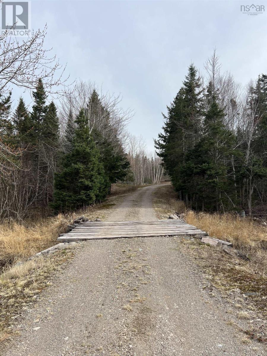 Old Mulgrave Road, Monastery, Nova Scotia  B0H 1W0 - Photo 50 - 202510167