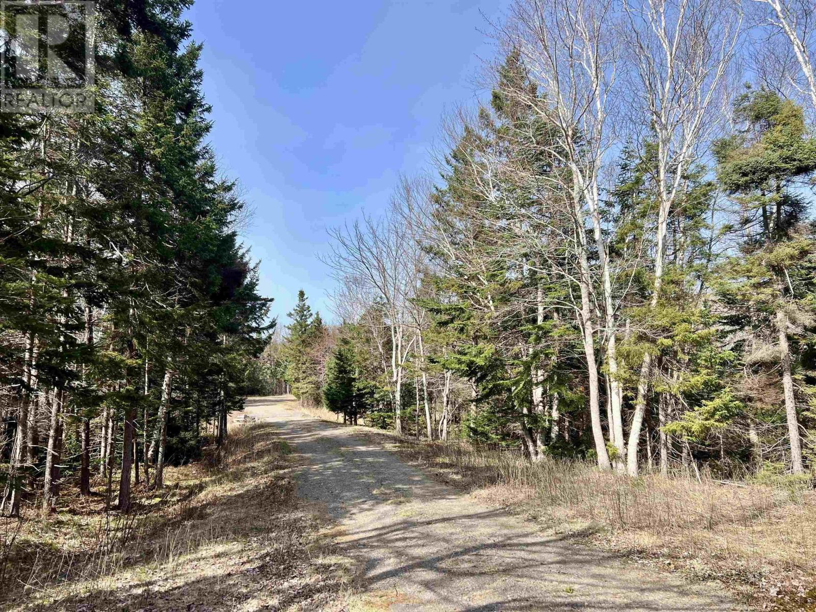 Old Mulgrave Road, Monastery, Nova Scotia  B0H 1W0 - Photo 6 - 202510167