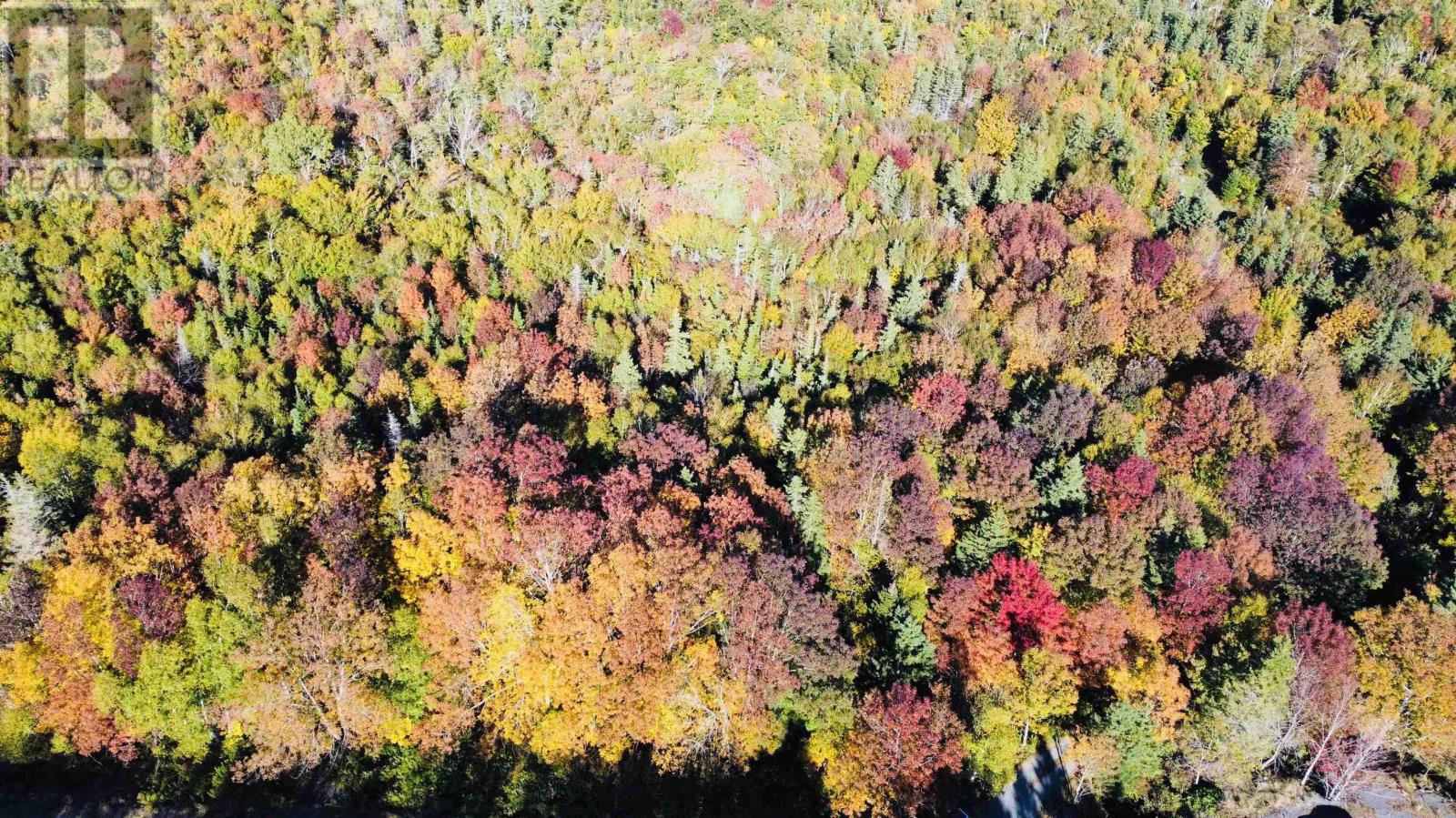 Lot 3 West Bay Highway, Roberta, Nova Scotia  B0E 3K0 - Photo 5 - 202510247