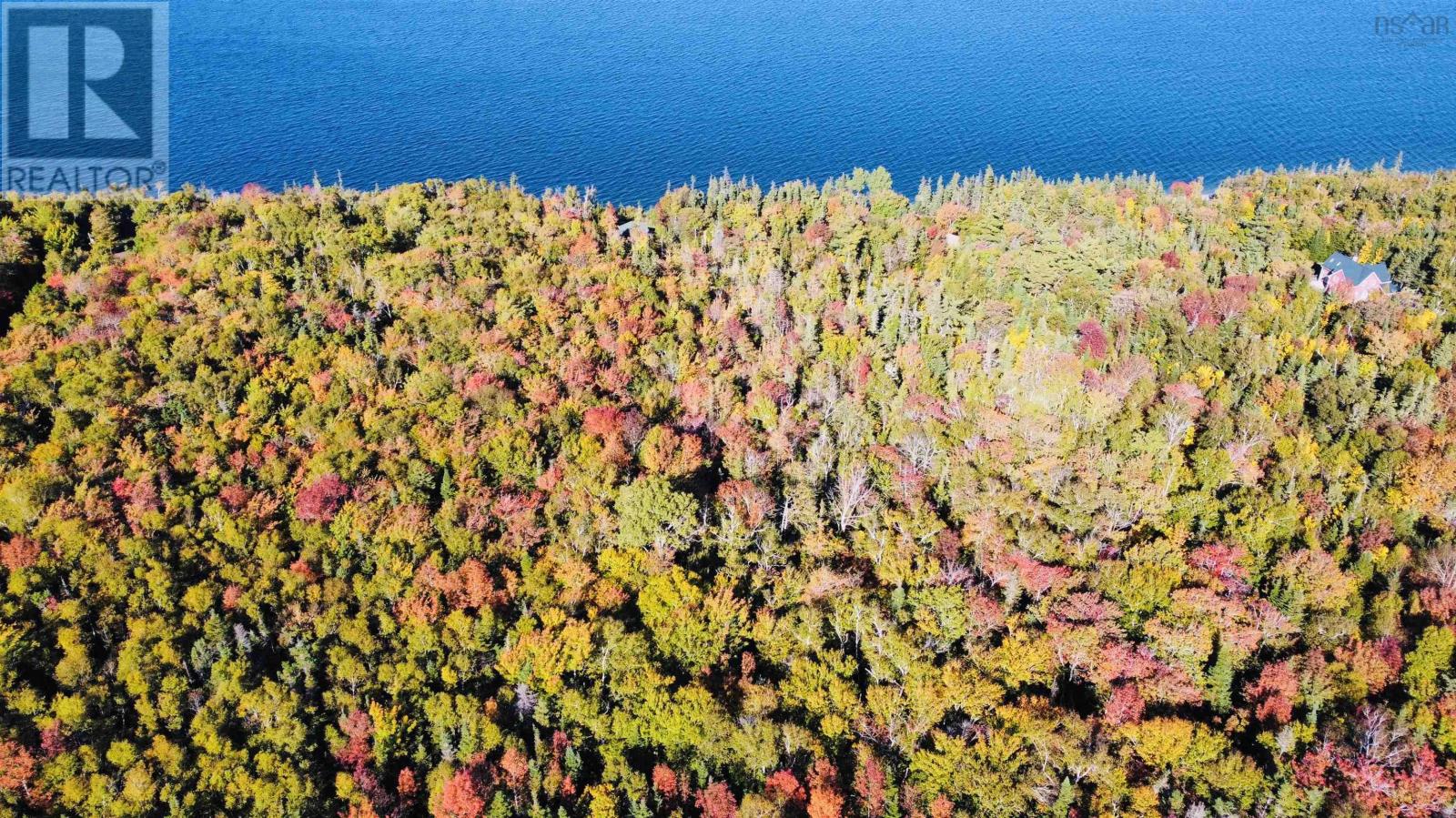 Lot 3 West Bay Highway, Roberta, Nova Scotia  B0E 3K0 - Photo 7 - 202510247