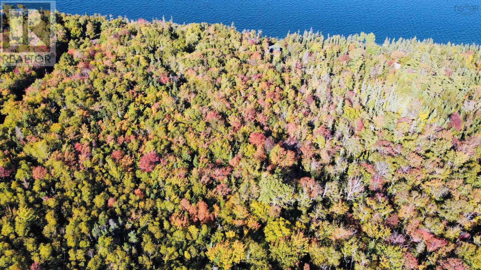 Lot 3 West Bay Highway, Roberta, Nova Scotia  B0E 3K0 - Photo 8 - 202510247