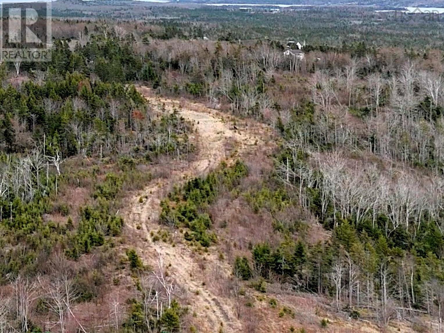 Louisbourg Highway, Catalone, Nova Scotia  B1C 2E6 - Photo 13 - 202510378