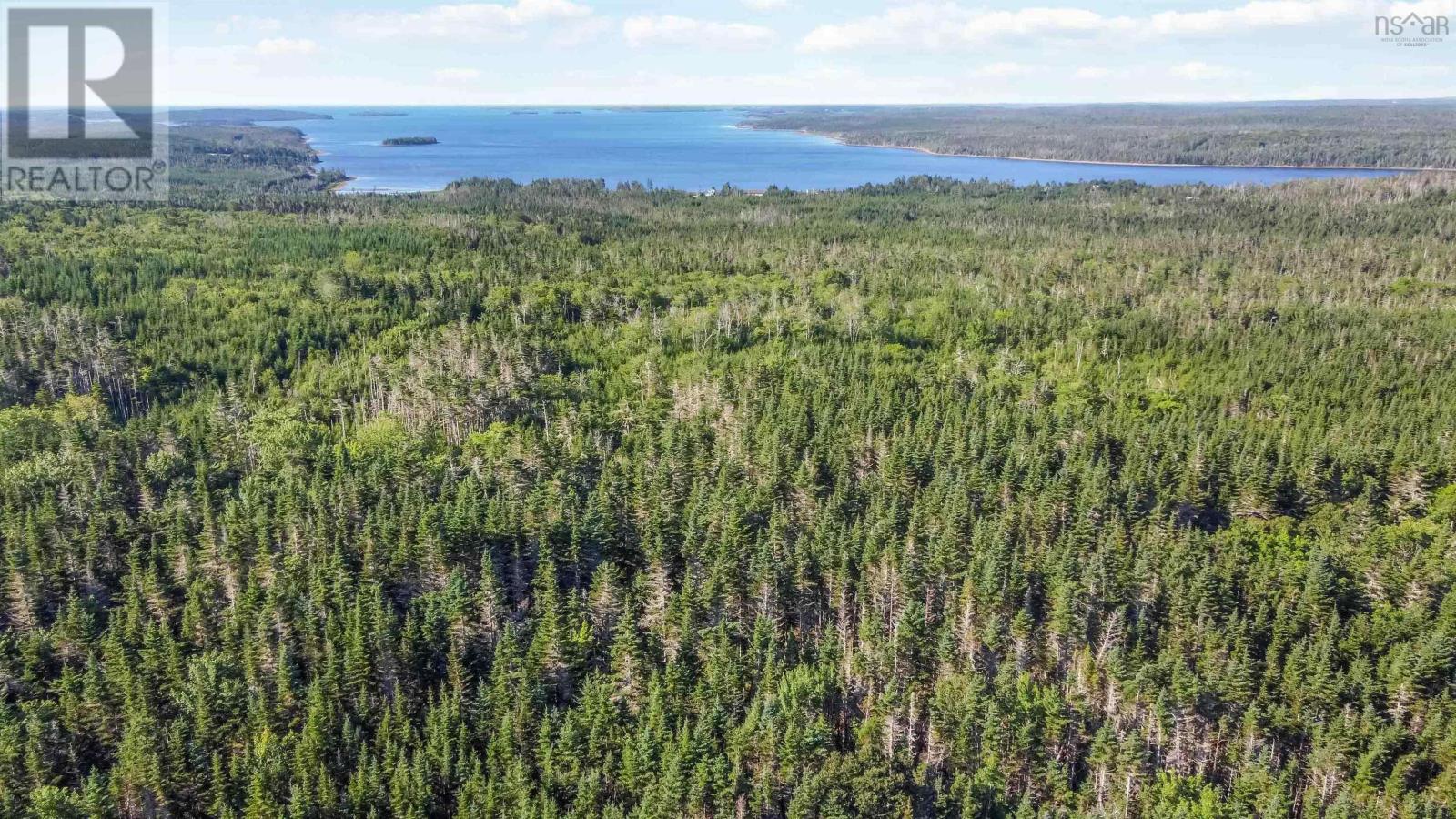 23892 Highway 7 Highway, Watt Section, Nova Scotia  B0J 2R0 - Photo 24 - 202510418