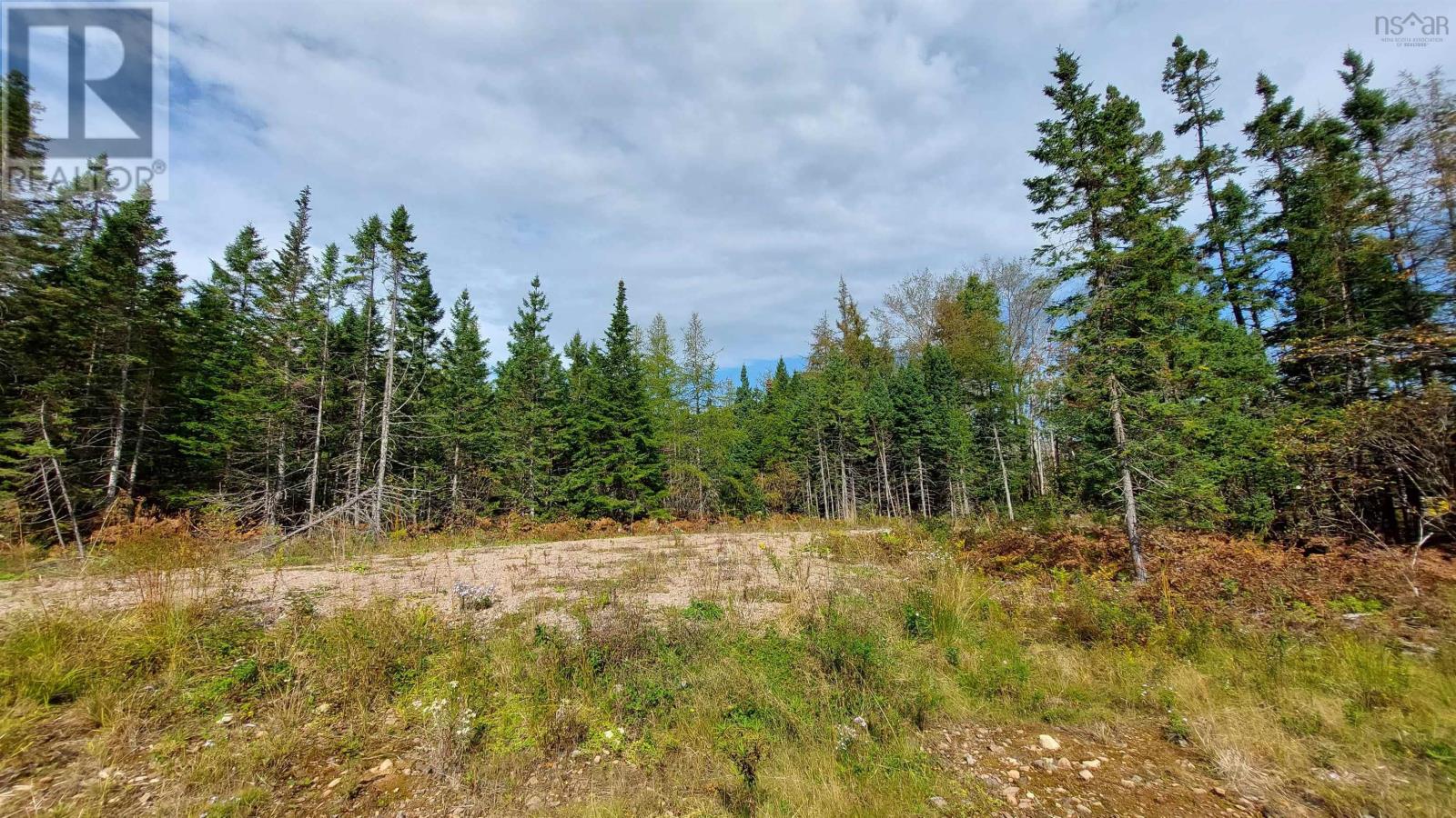 Lot 7 Lower River Rd, Cleveland, Nova Scotia  B0E 1J0 - Photo 8 - 202510470