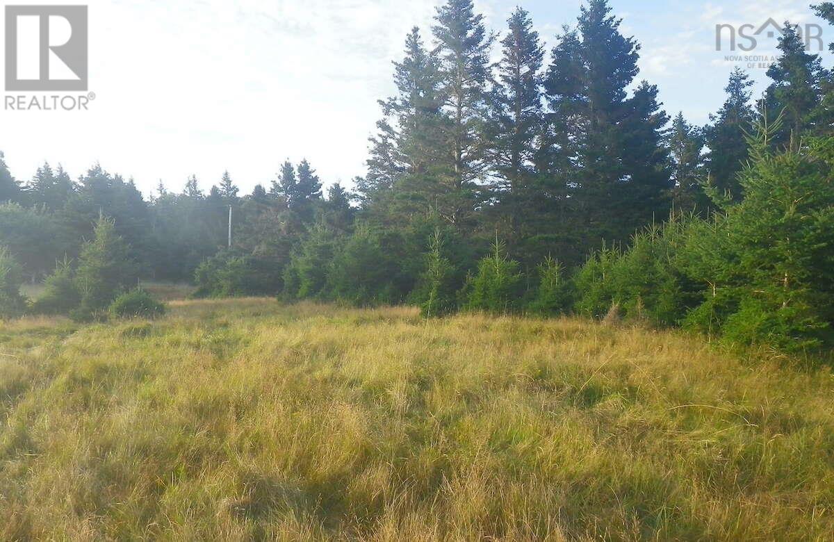 Lot 6 Moshers Island Road, Lahave, Nova Scotia  B0R 1C0 - Photo 10 - 202510503