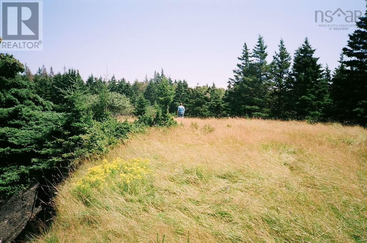 Lot 6 Moshers Island Road, Lahave, Nova Scotia  B0R 1C0 - Photo 6 - 202510503