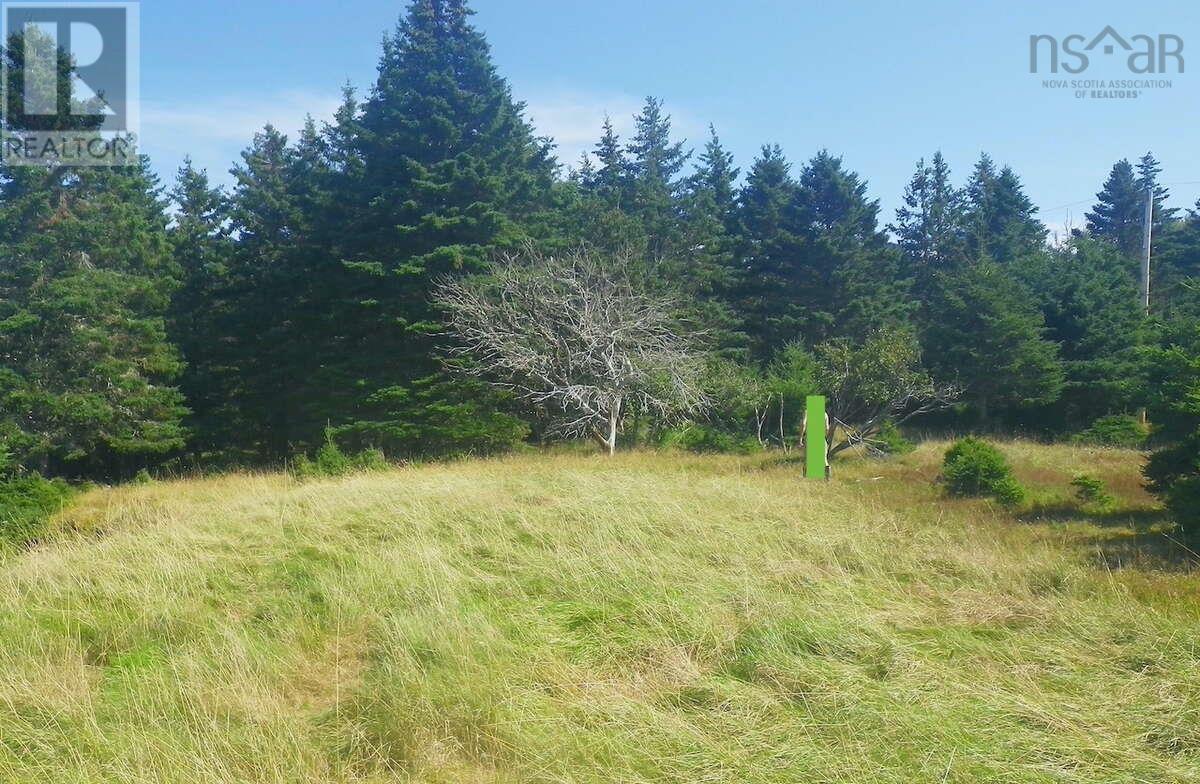 Lot 6 Moshers Island Road, Lahave, Nova Scotia  B0R 1C0 - Photo 9 - 202510503