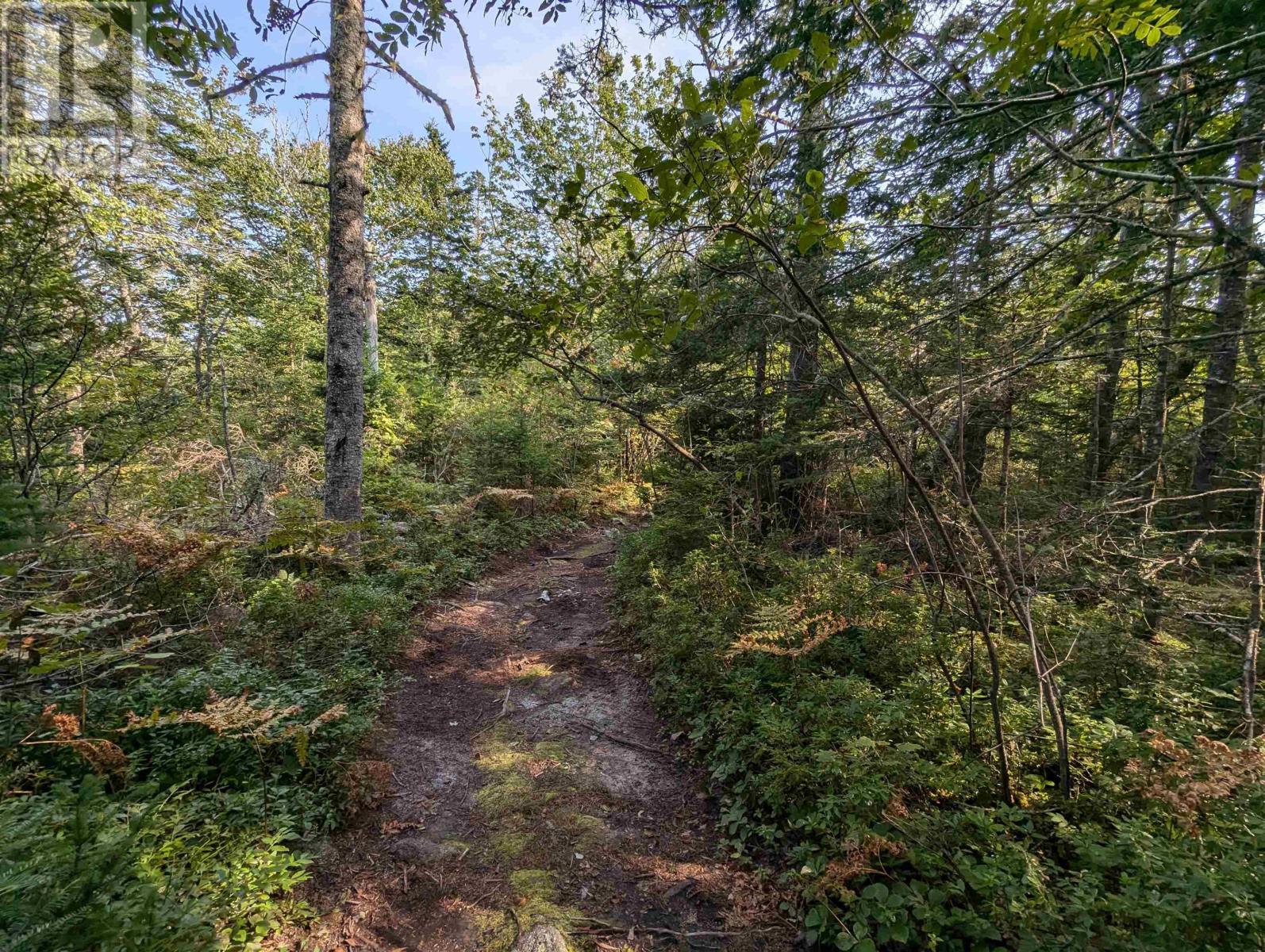 F-1 Brennans Road, Prospect Village, Nova Scotia  B3T 2A3 - Photo 4 - 202510684