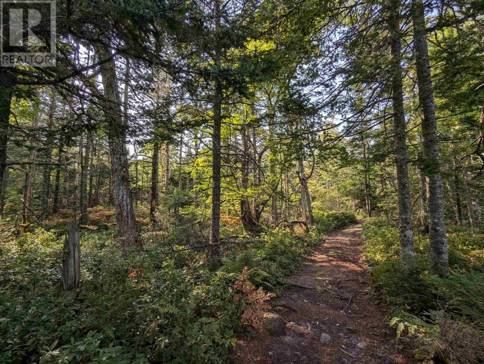 F-1 Brennans Road, Prospect Village, Nova Scotia  B3T 2A3 - Photo 5 - 202510684