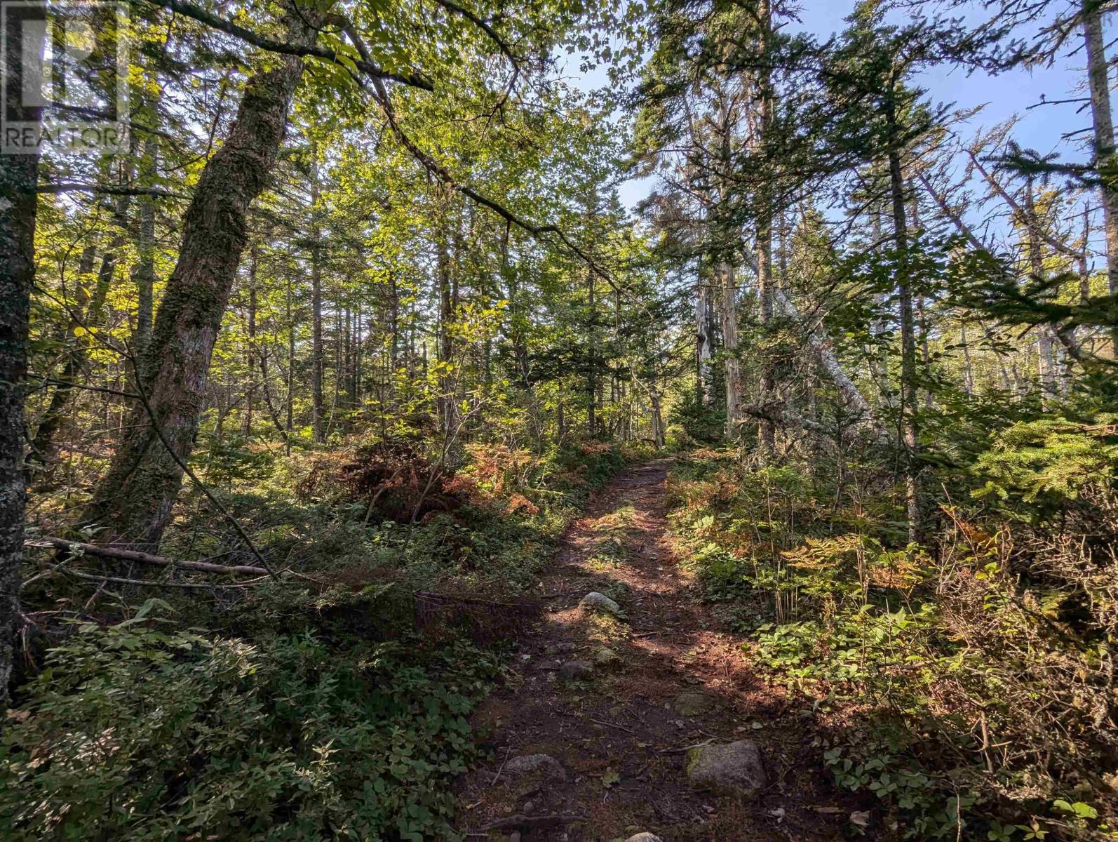 F-1 Brennans Road, Prospect Village, Nova Scotia  B3T 2A3 - Photo 6 - 202510684