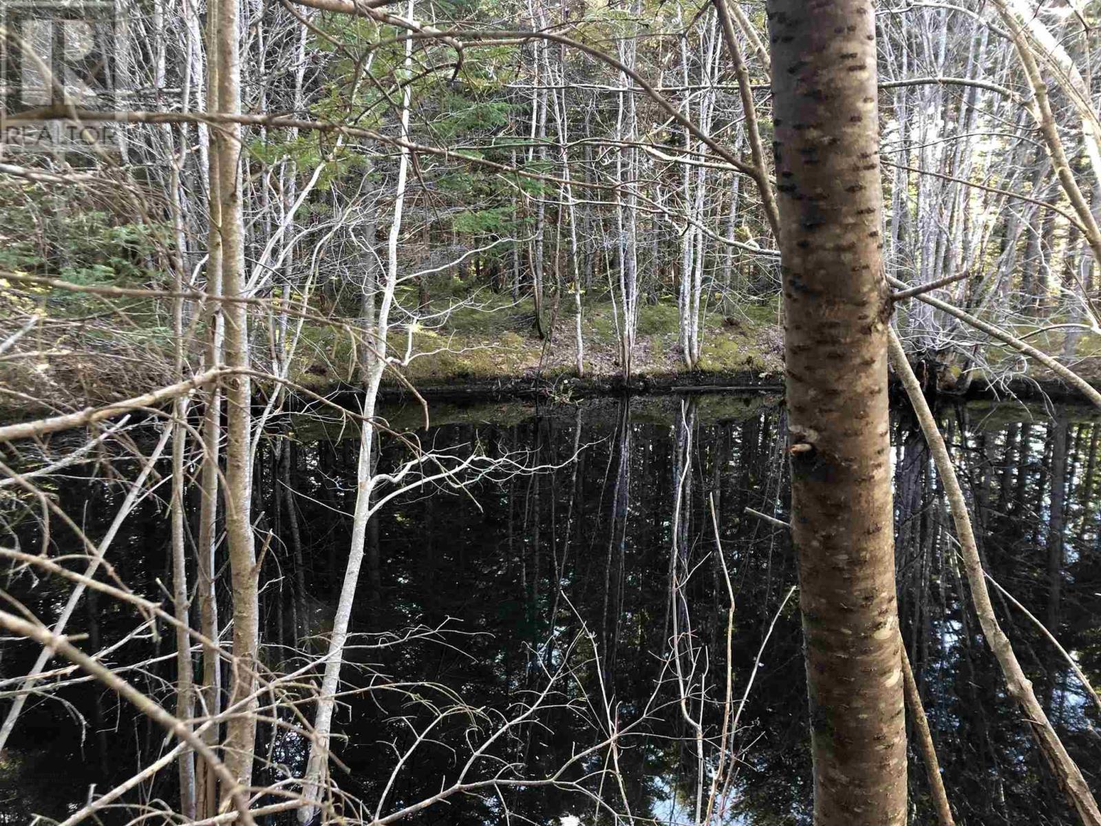 Cameron Road, Iron Mines, Nova Scotia  B0E 2K0 - Photo 12 - 202510865