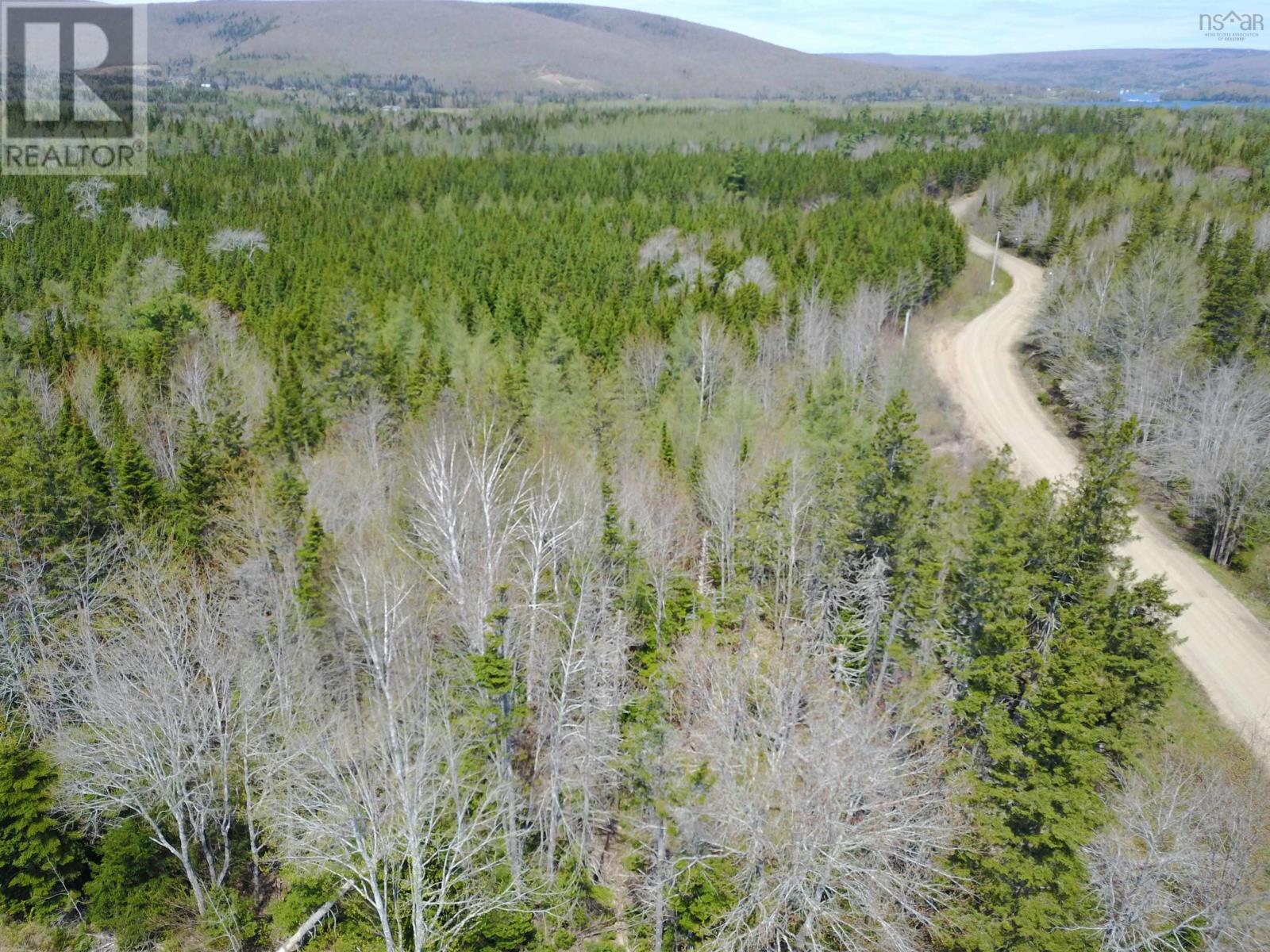 Cameron Road, Iron Mines, Nova Scotia  B0E 2K0 - Photo 3 - 202510865