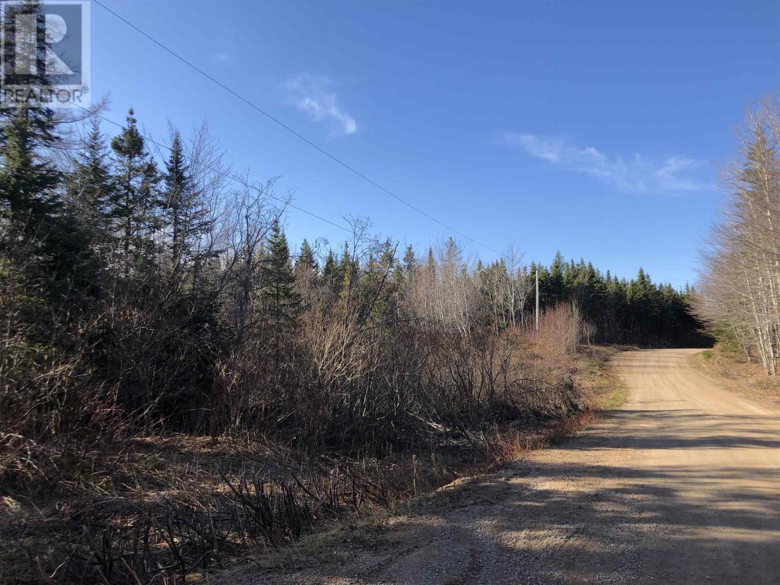 Cameron Road, Iron Mines, Nova Scotia  B0E 2K0 - Photo 8 - 202510865