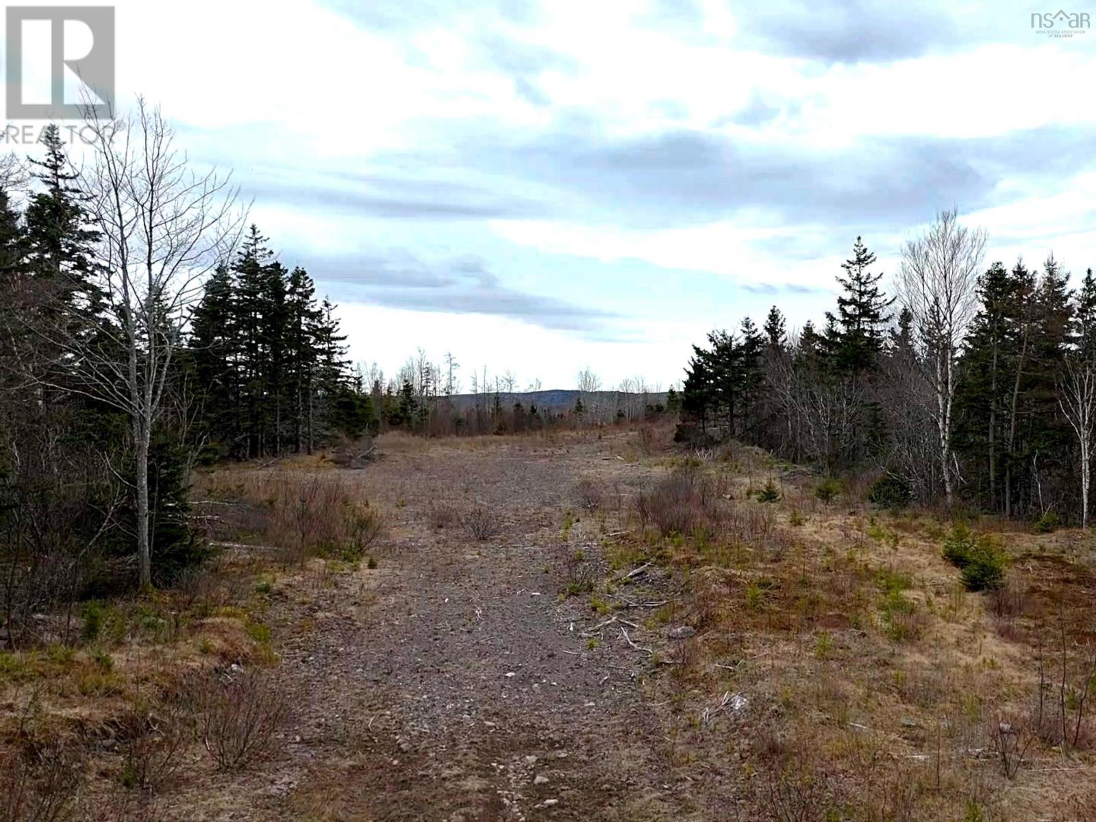 Louisbourg Highway, Catalone, Nova Scotia  B1C 2E6 - Photo 3 - 202510872