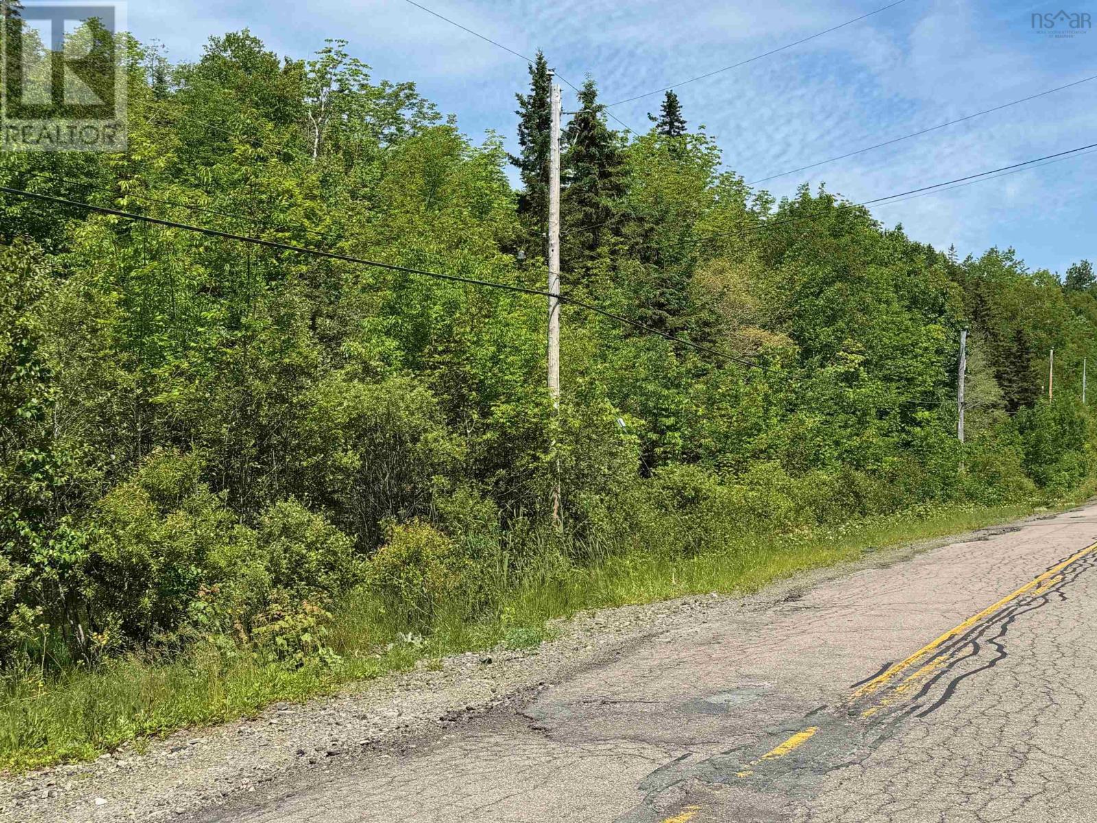 Marble Mountain Road, Marble Mountain, Nova Scotia  B0E 2Y0 - Photo 17 - 202510950
