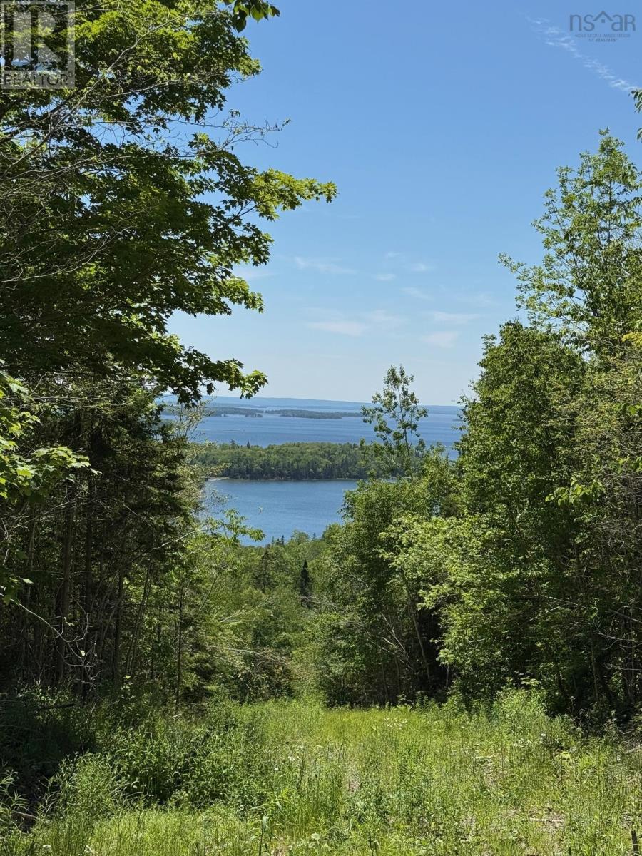 Marble Mountain Road, Marble Mountain, Nova Scotia  B0E 2Y0 - Photo 6 - 202510950