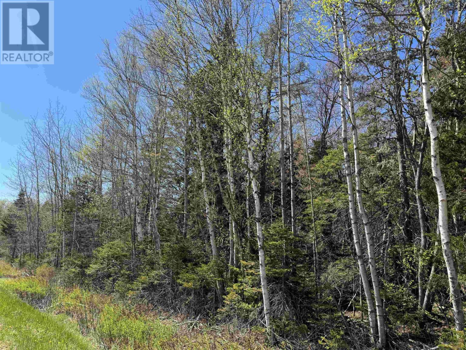 Lot 4 Highway 509, Lower Maccan, Nova Scotia  B0L 1B0 - Photo 2 - 202510964