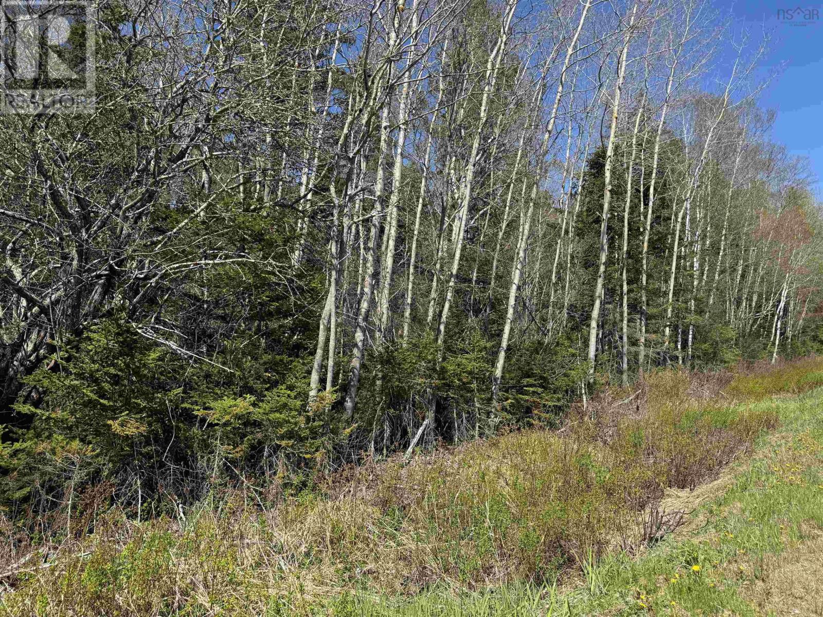 Lot 4 Highway 509, Lower Maccan, Nova Scotia  B0L 1B0 - Photo 3 - 202510964