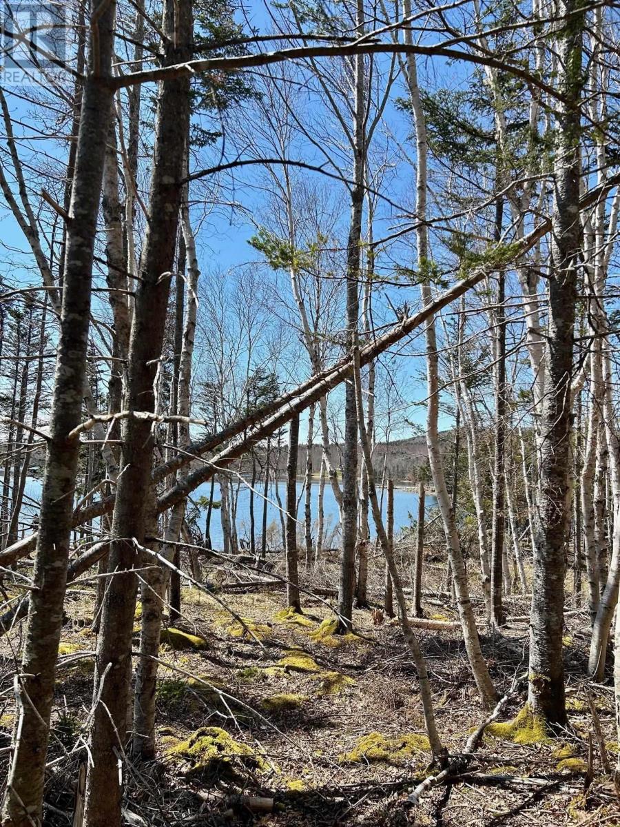 Lot 1e Marble Mountain Road, Malagawatch, Nova Scotia  B0E 2Y0 - Photo 11 - 202511125