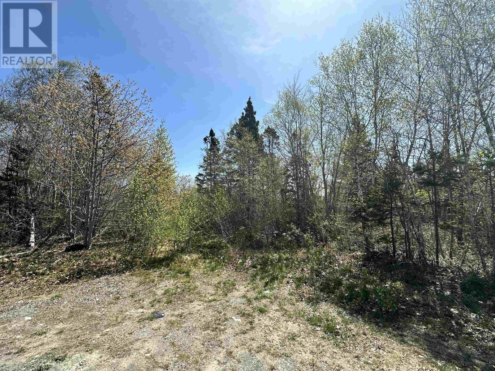 Lot White Point Connector, White Point, Nova Scotia  B0T 1K0 - Photo 4 - 202511129