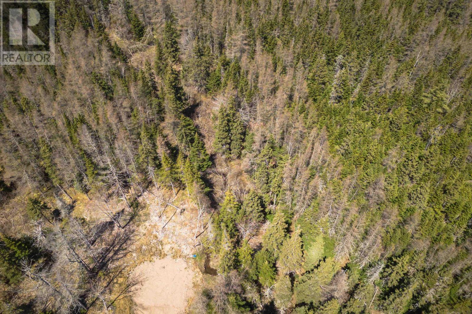 Lot 6 Highway 4, Cleveland, Nova Scotia  B0E 1J0 - Photo 12 - 202511136